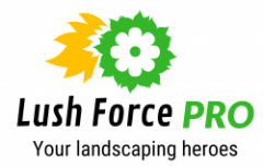 Lush Force Pro: Syracuse, NY